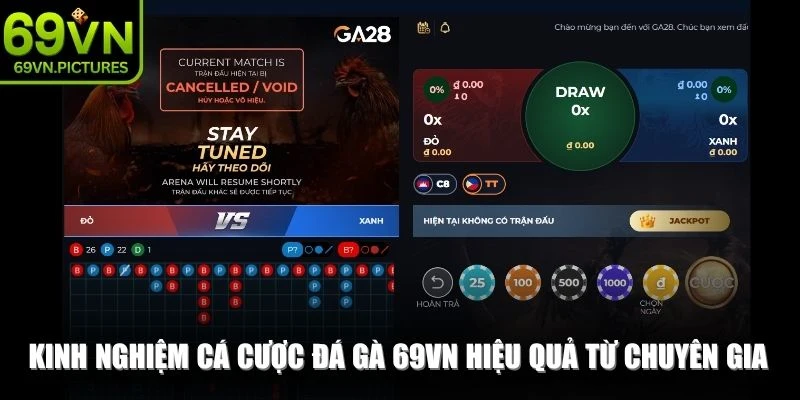 Kinh nghiệm cá cược đá gà 69VN hiệu quả từ các chuyên gia lâu năm